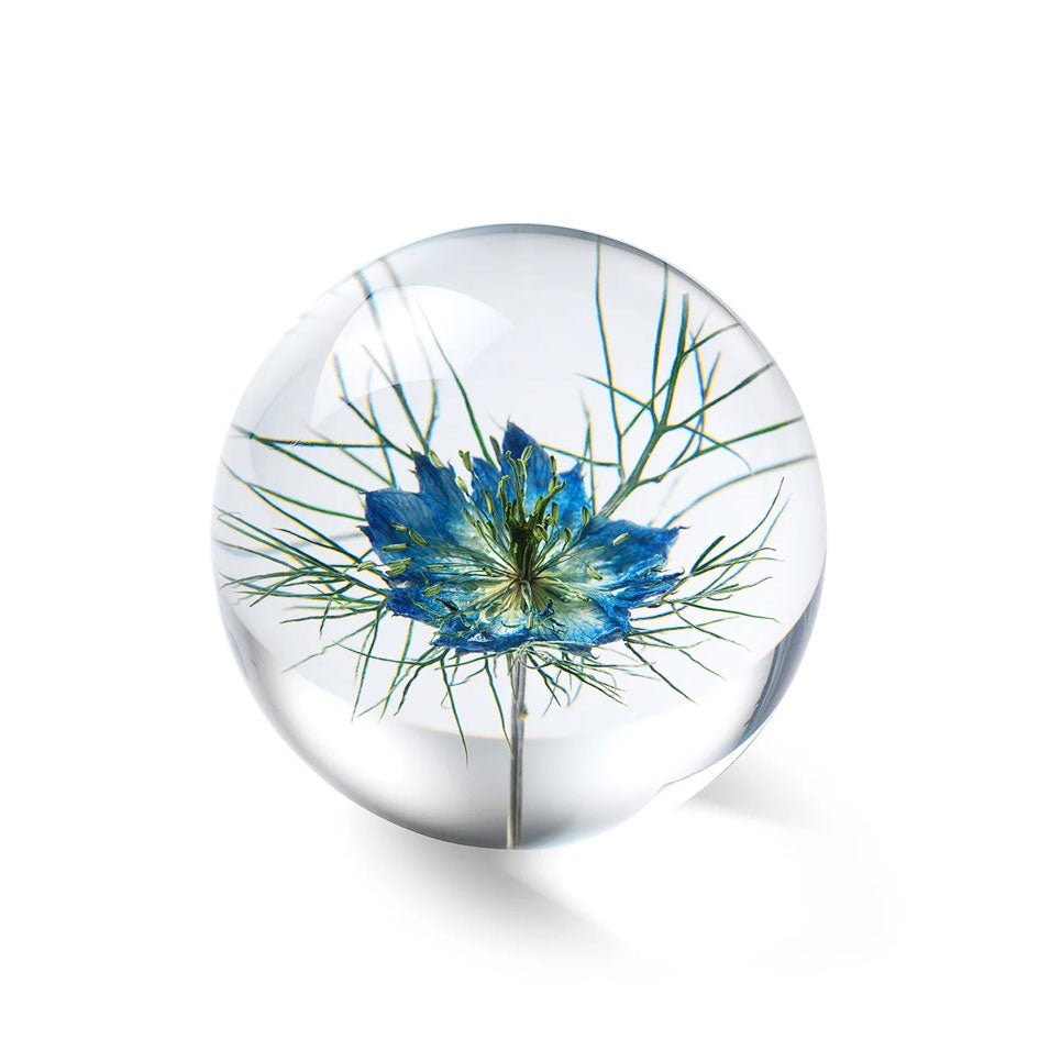 Blauwe Nigella Presse - papier - In Flore - SuperMatique