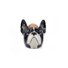 Franse Bulldog Eierdopje - Quail Ceramics - SuperMatique