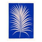 Howea ll Art Print - PrintedPlant - SuperMatique