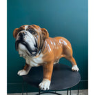 Keramiek Bulldog Beeld (Hoogte 41 cm) - SuperMatique - SuperMatique