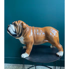 Keramiek Bulldog Beeld (Hoogte 41 cm) - SuperMatique - SuperMatique