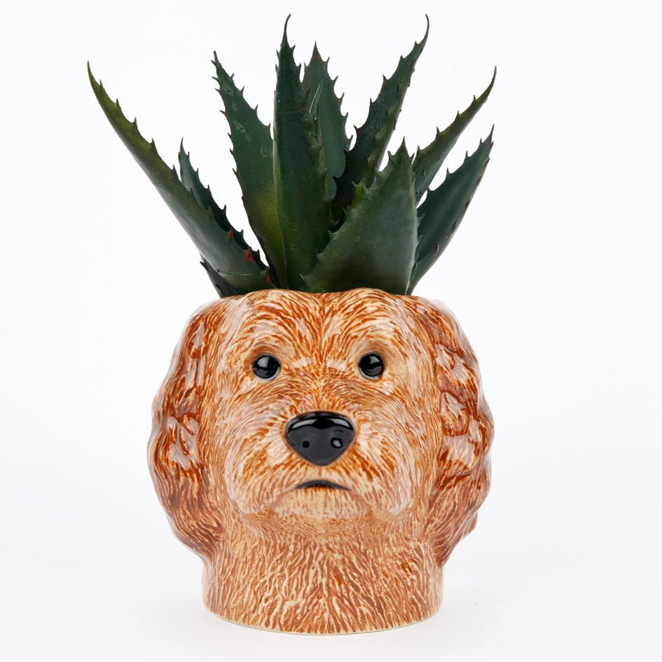 Labradoodle Pennenpot - Quail Ceramics - SuperMatique