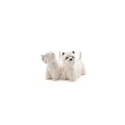 Westie Peper en Zout - Quail Ceramics - SuperMatique